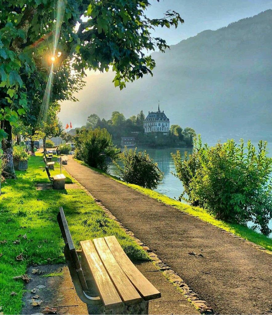 Good morning my lovely friends 
Have a great day for all.