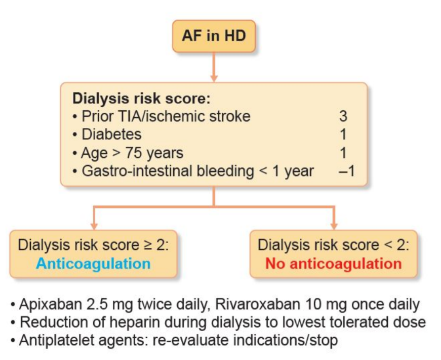 NDTsocial's tweet photo. ⚡️NEW Review:
Anticoagulation management in hemodialysis patients with atrial fibrillation: evidence and opinion
📸Proposal for anticoagulant strategy in hemodialysis
patients with #atrial #fibrillation
👉https://t.co/sOTckINOav👈
#anticoagulation #stroke #bleeding #hemodialysis https://t.co/424pJhdK1O