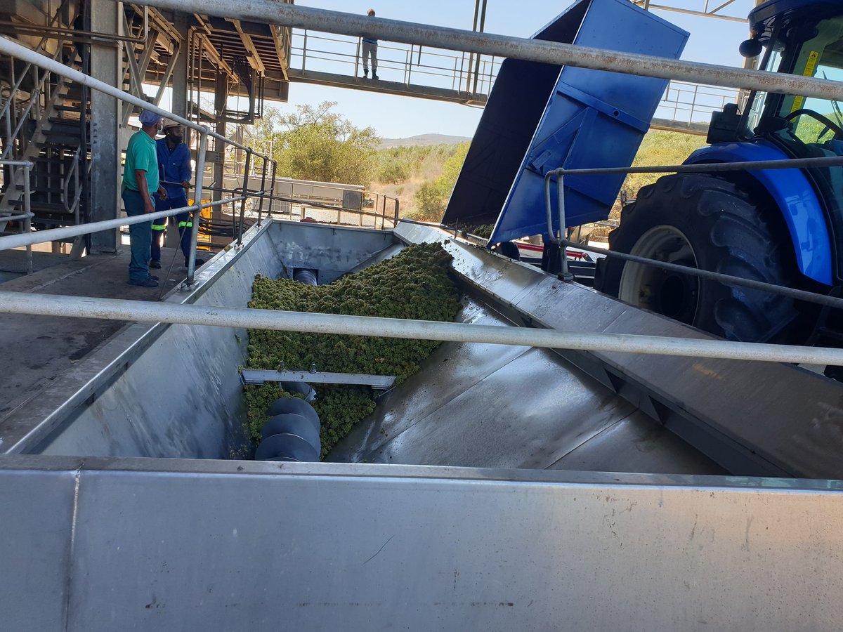 kudzai mwerenga tweet media