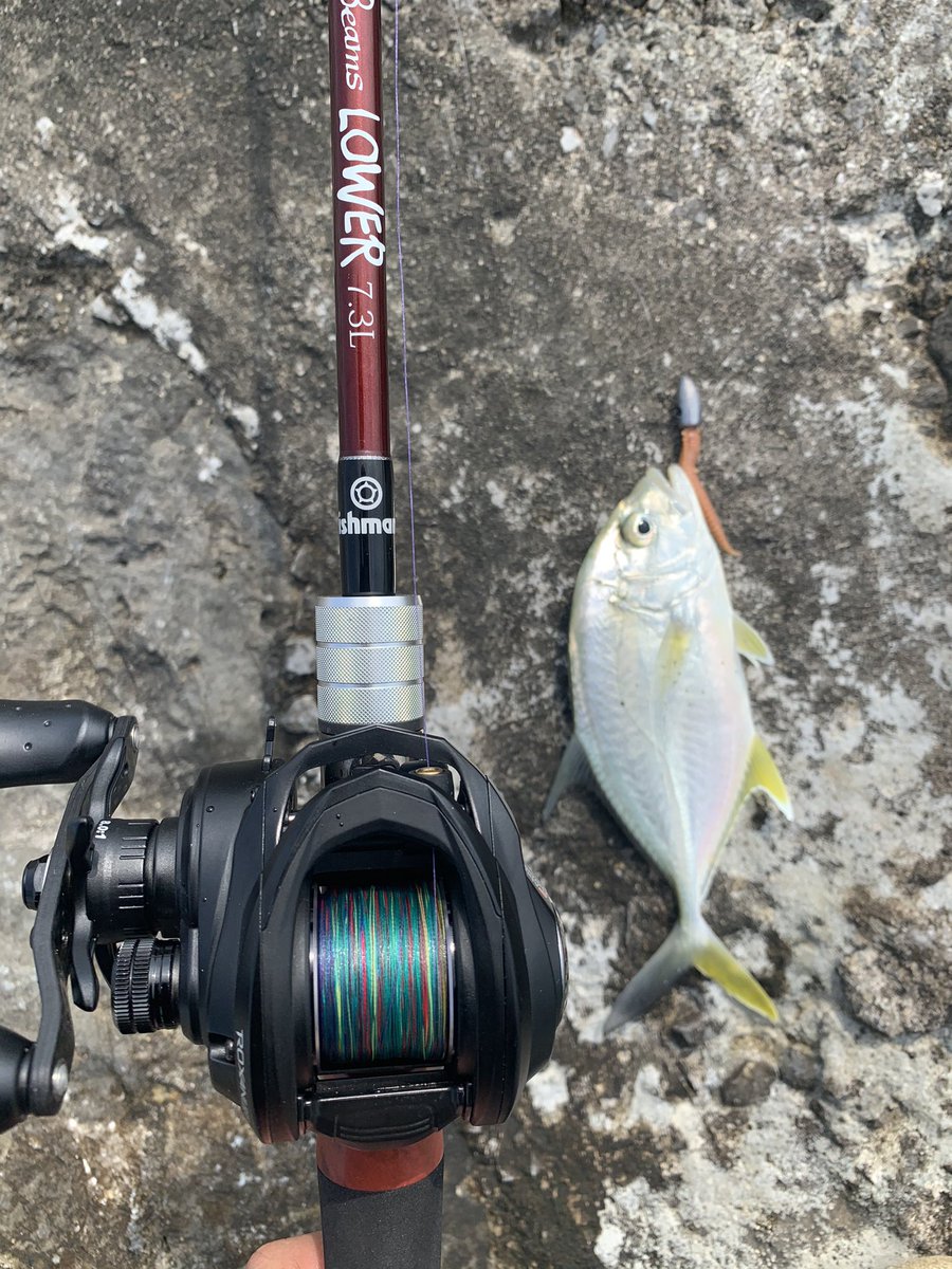 Beamslower73l