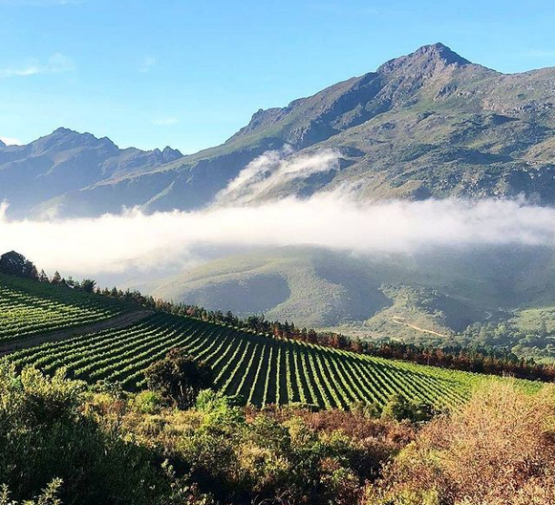 Nestled in this breathtaking Jonkershoek Valley is Postcard Cafe: A stylish cafe serving up mouthwatering breakfast and lunch, alongside some incredible wines from Stark-Condé Wines!