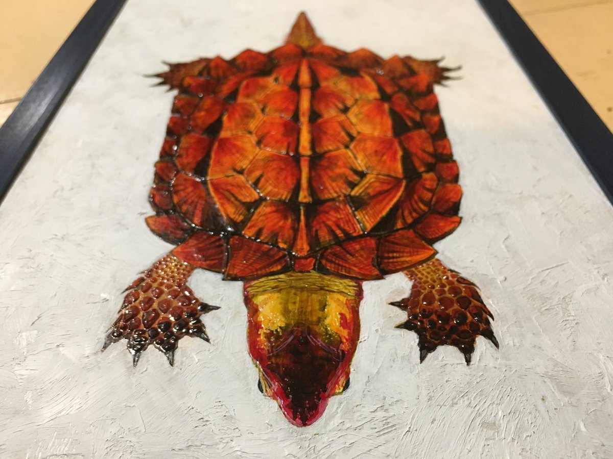 オルカプロジェクト様ご依頼のワニガメオルカ原寸大油彩標本 これが最後の制作過程の 多加久 アートルゴッサ 両爬虫 のイラスト