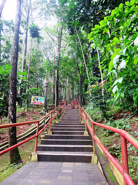 #PuspitaNagari 
#programfolback 

PAKUNYA PULAU JAWA -4

<a href="/MamaRaja07/">Mama Raja</a> 
@TukangKombur 
<a href="/gus_prant/">agust polonia</a> 
<a href="/SalimSuryadiPe1/">Peter Salim @(ش@س)</a> 
@wong_ndeso333 

<a href="/Yono10260024/">siap jaga jarak🇮🇩🇮🇩🇮🇩</a> 
<a href="/Sang_P3tu4l4nk/">Sang Petualang</a> 
<a href="/Dadi96783841/">Dadi</a> 
<a href="/Bakoto71/">Bakoto</a> 
<a href="/yanti7799/">Yanti Yulianti</a> 
@Ayu_Fara_
<a href="/RickyBakara/">ricky bakara (不啊看啊让啊)</a> 
<a href="/venomest1/">🌓VENN OTB 11🌓</a> 
<a href="/yurikoimut/">syafaira</a> 
<a href="/Bakoto7/">Bakoto</a> 

❤+🔄