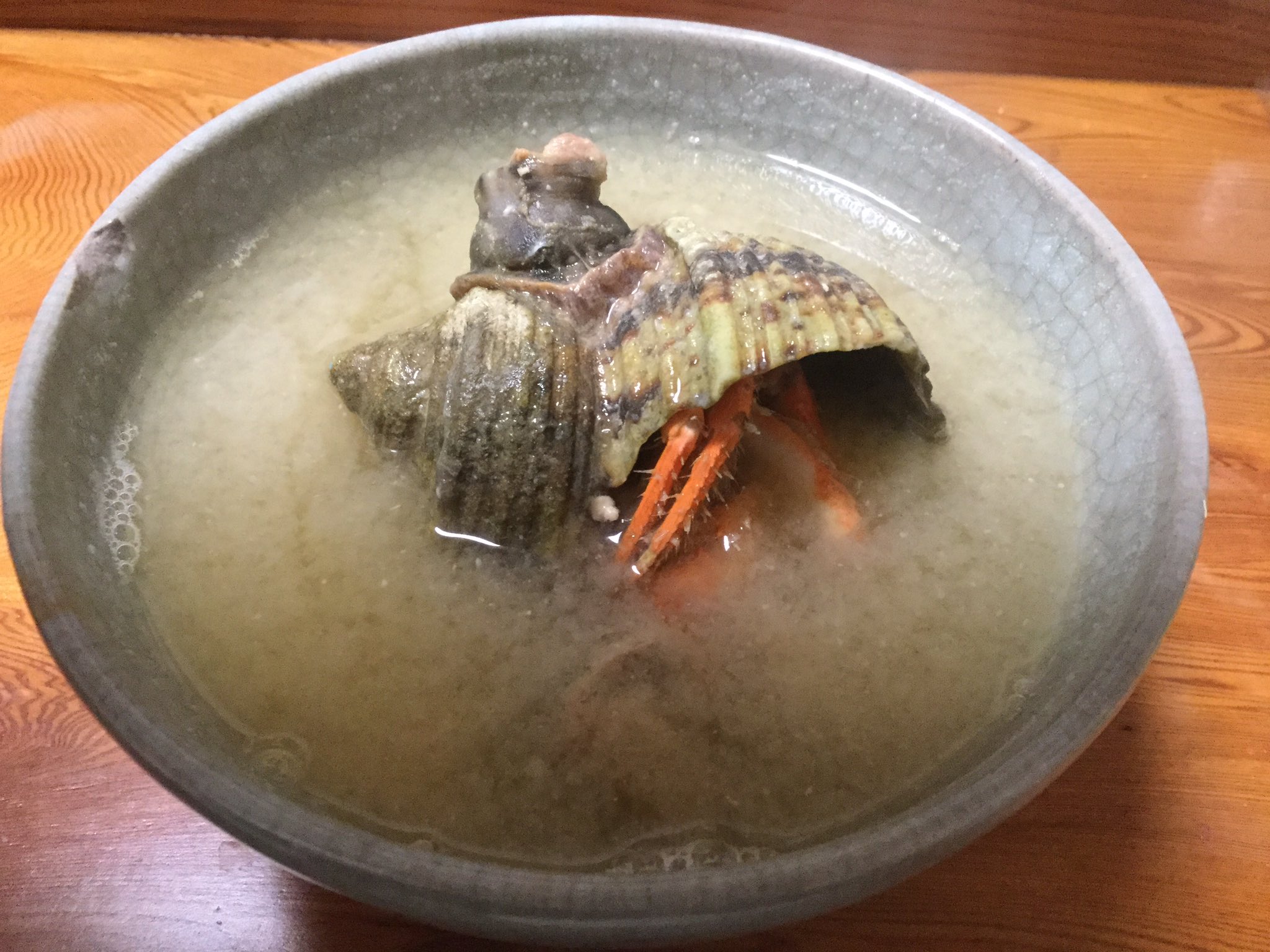 Chiku ゲテ食 大全 入手 最初に開いたページがイソギンチャク イソギンチャク料理めっちゃ取材したことあったな 後ほどイソギンチャク付きヤドカリを見つけて 味噌汁に 美味しかったよ ベニヒモイソギンチャク ヤドカリイソギンチャク