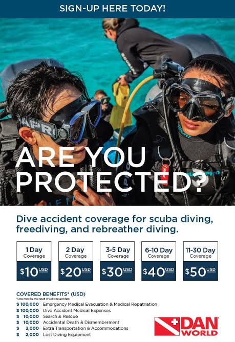Dive somewhere? Get covered