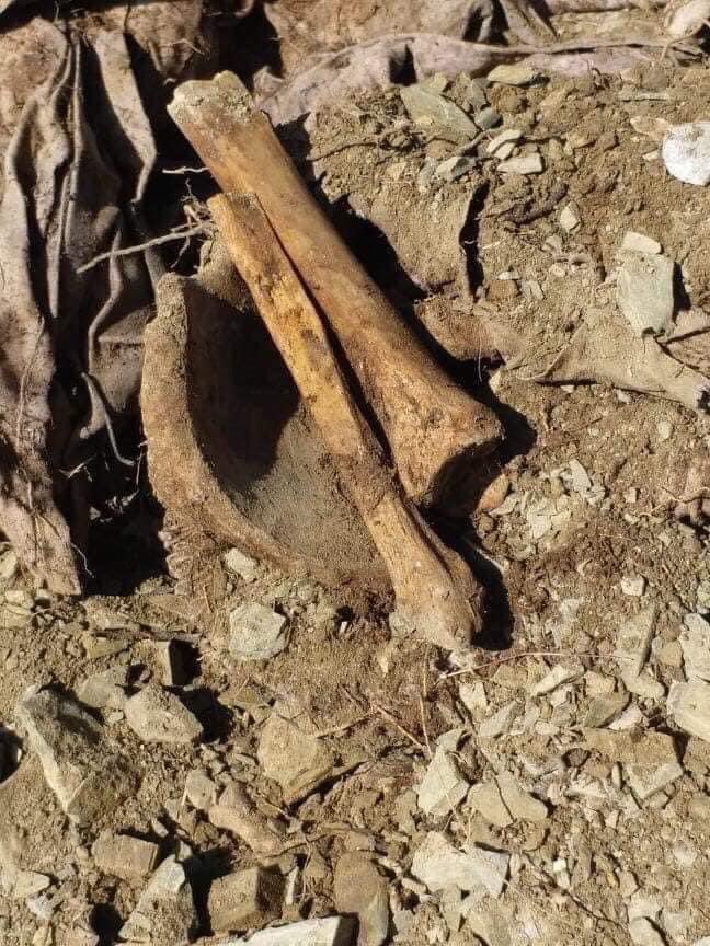 KalamWazir's tweet photo. وزیرستان میں ظلم کی داستانیں نجانے کب ختم ہونگی. ۲۰۰۸ سے لاپتہ محمد سلام ولد کابل دین کی ہڈیوں کی شکل میں تحصیل گڑیوم میں لاش برامد ہوئی، لاش کے ساتھ ان کا شناختی کارڈبھی ملا ہے. بیٹے نے تصدیق کرکے لاش وصول کر لی ہے. https://t.co/eRD3hmRfSM