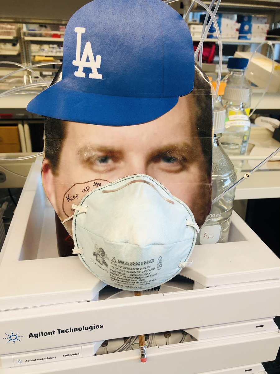Lab Dan is ready for the best time of the year — baseball season! <a href="/DanHarki/">Dan Harki</a>