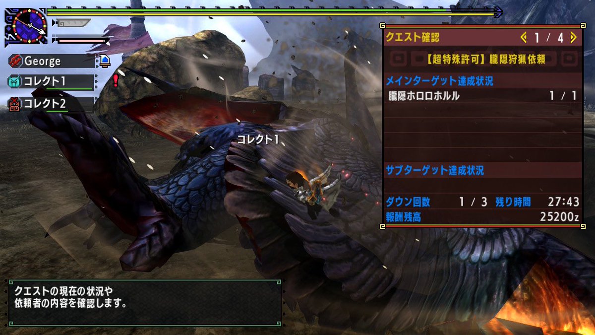 ホロロホルル 二つ名 解放