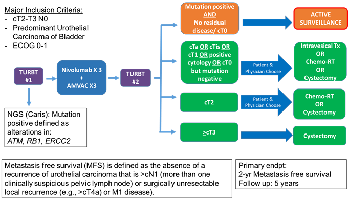 RETAIN-2 neoadjuvant AMVAC + nivolumab: NCT04506554 enrolling <a href="/sonpavde/">Guru P. Sonpavde, MD</a>