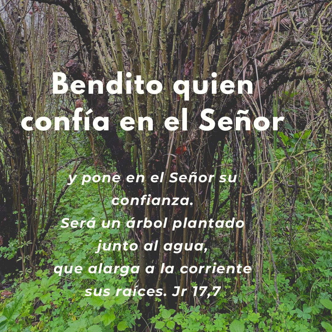 calasanciaspv's tweet photo. #CalasanciasenCuaresma
Tiempo para sentirnos en las manos de Dios. #CalasanciasTime
#EsTuMomentoImplicate https://t.co/NquwpNRXjQ