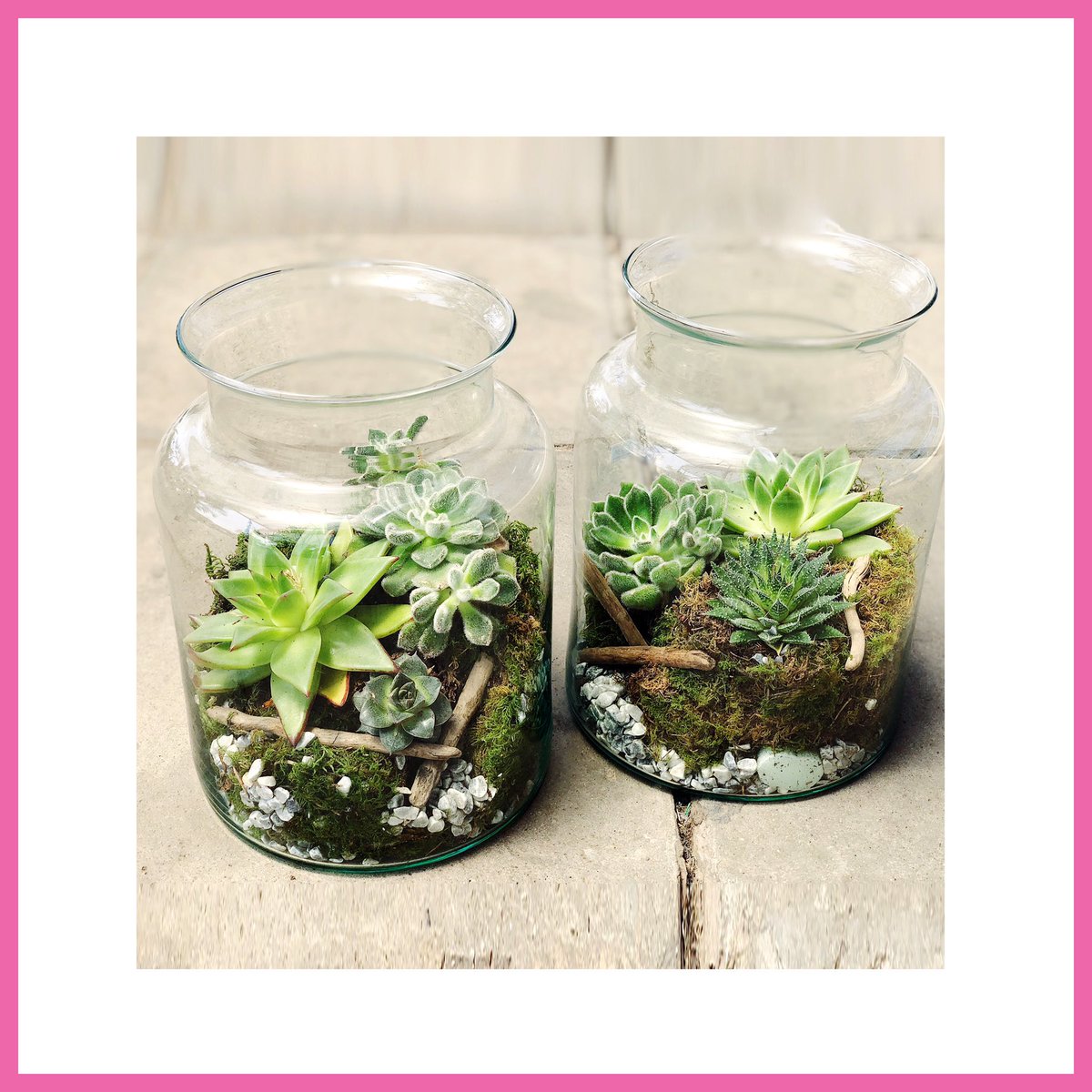 Newtonanddavid's tweet photo. Did you know that we also have terrariums in our flower shops? They’re like aquariums....but for plants! Super low maintenance and great as a decor piece. Spice up your space with a terrarium! 🪴🌿🪨 https://t.co/tEdl4KUja6
