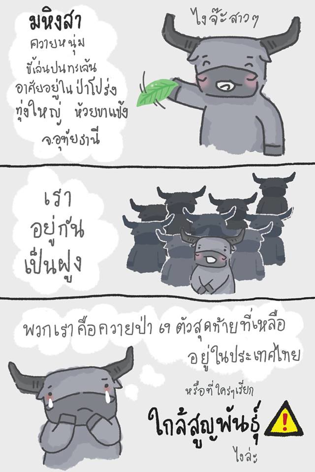 มูลนิธิสืบนาคะเสถียร tweet media