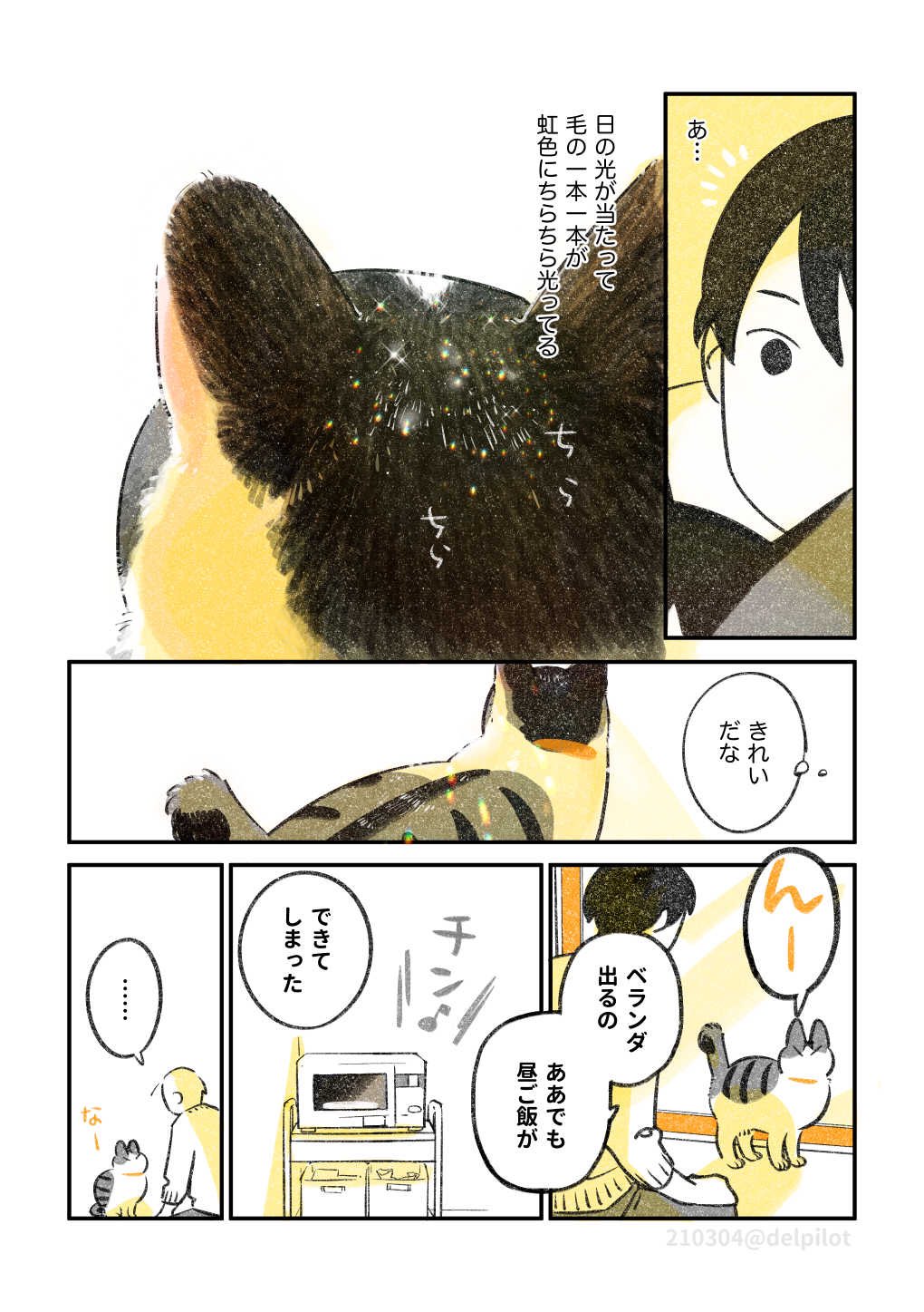 ふじひと 猫と昼ごはん