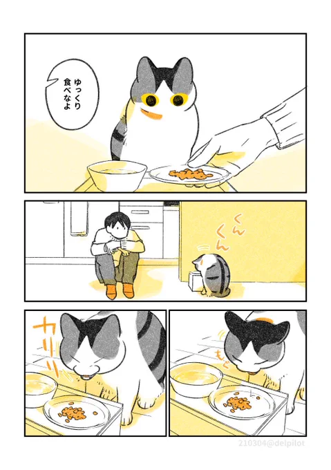 猫と昼ごはん 