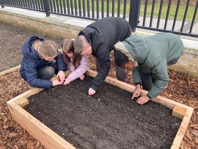 CultivationSt photo