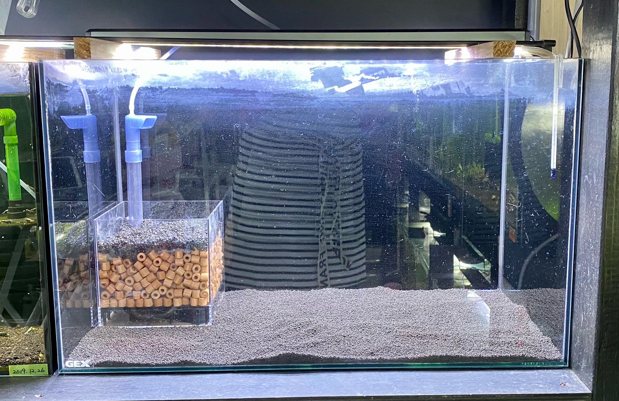 さと美えび Satomiebi Lssろ過box Lseasyfilter 販売開始でございます 台湾式 底面アクリル濾過ボックス レッドビーシュリンプ 水槽立ち上げ Lss研究所 さと美えび ニョロはつきません T Co Lpjkvidd2c T Co Aixk34wfu1 Twitter