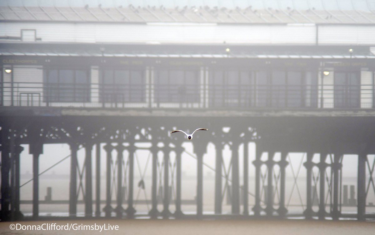 Fog around North East Lincolnshire this week #fog #mist #Lincolnshire #photography #photojournalist