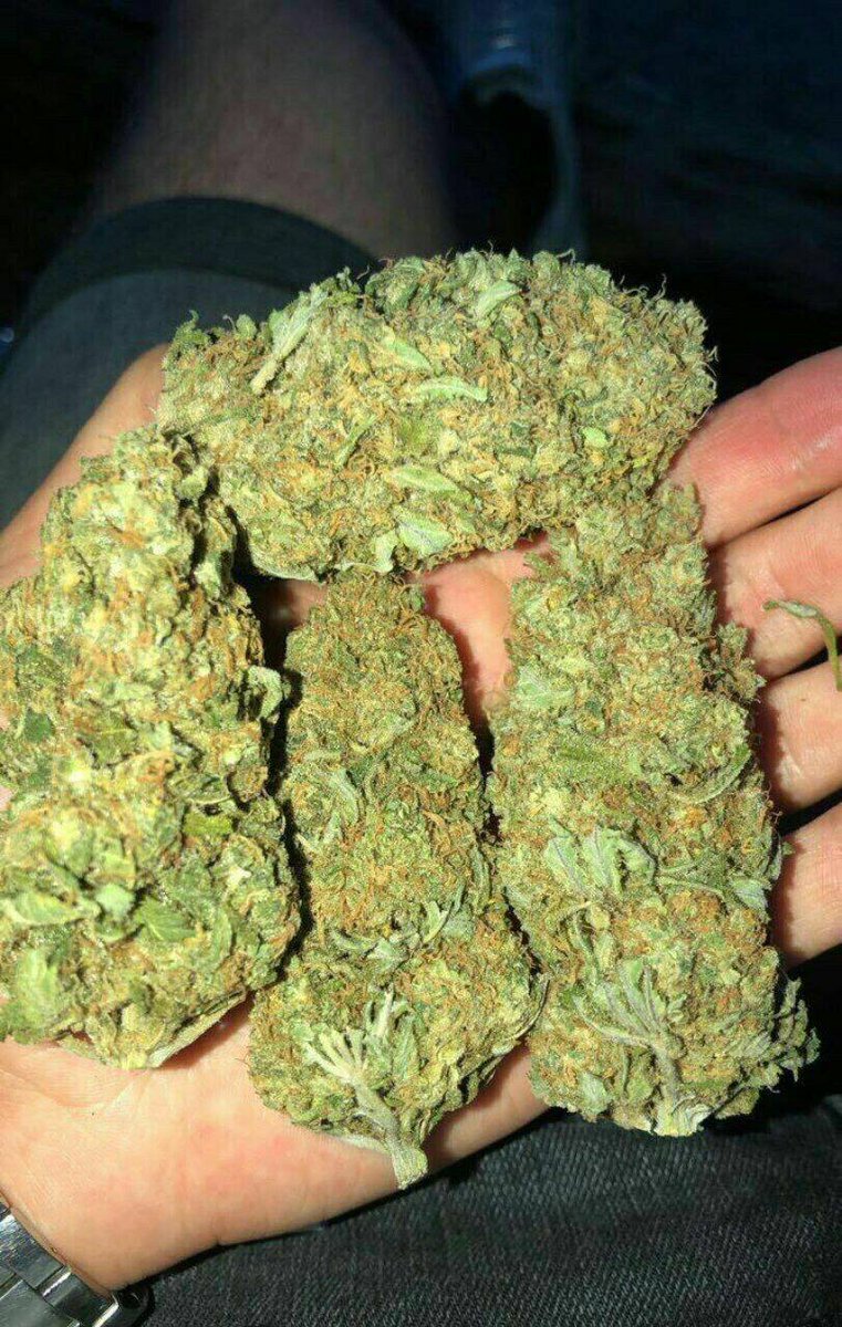 Cannabis Weed Livraison Fiable Securise Via Snap T Co Zfmwwd3za9 Montrealeau Weed Beuh Cocaine Drogue Alma Princeville Sherbrooke Quebec Citation Annecy Live Meditation Montpellier Hautsdefrance Rastabot Cannabis Weed Livraison Fiable Securise Via Snap T Co Zfmwwd3za9 Montrealeau Weed Beuh Cocaine Drogue Alma Princeville Sherbrooke Quebec Citation Annecy Live Meditation Montpellier Hautsdefrance Rastabot