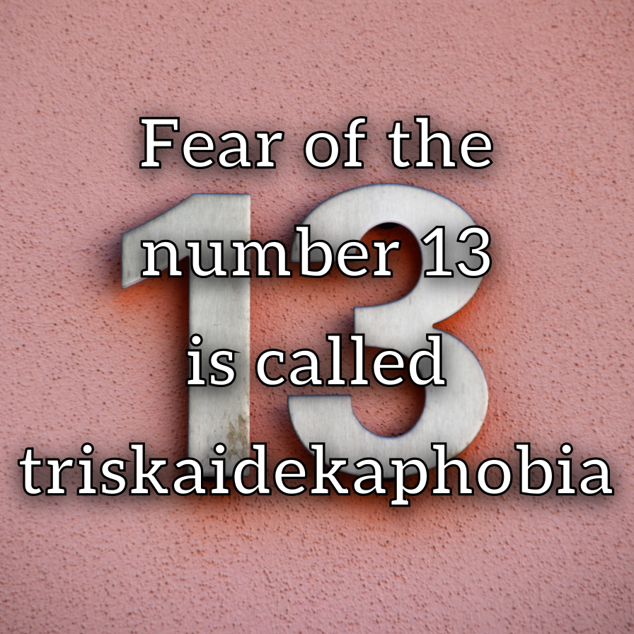 BitesSci's tweet photo. Did you know... fear of the number 13 is called triskaidekaphobia. Irrationally scared of clowns? You might have coulrophobia and gephyrophobia is a fear of bridges #fact #sciencefact #phobia #fact101 #factoflife  #factsmatter  #factsnotopinions  #factsonfacts #factsonly  #factz https://t.co/XMPx2CvavB