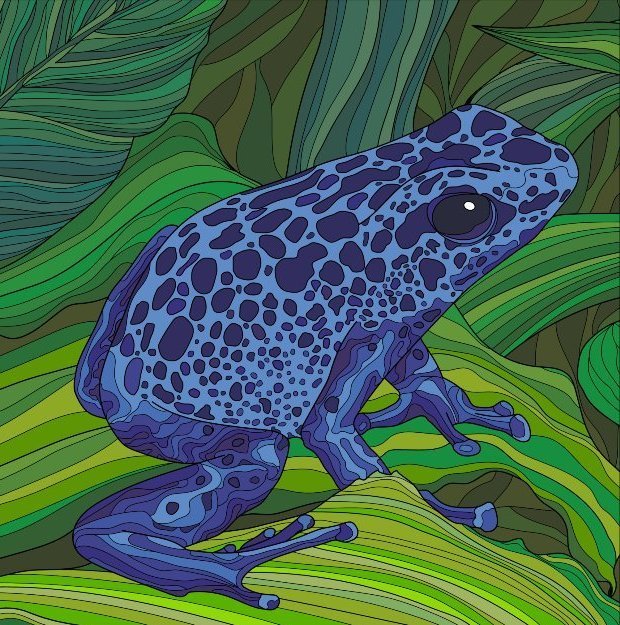 A thread of frogs. Pictures coloured using Happy Color App