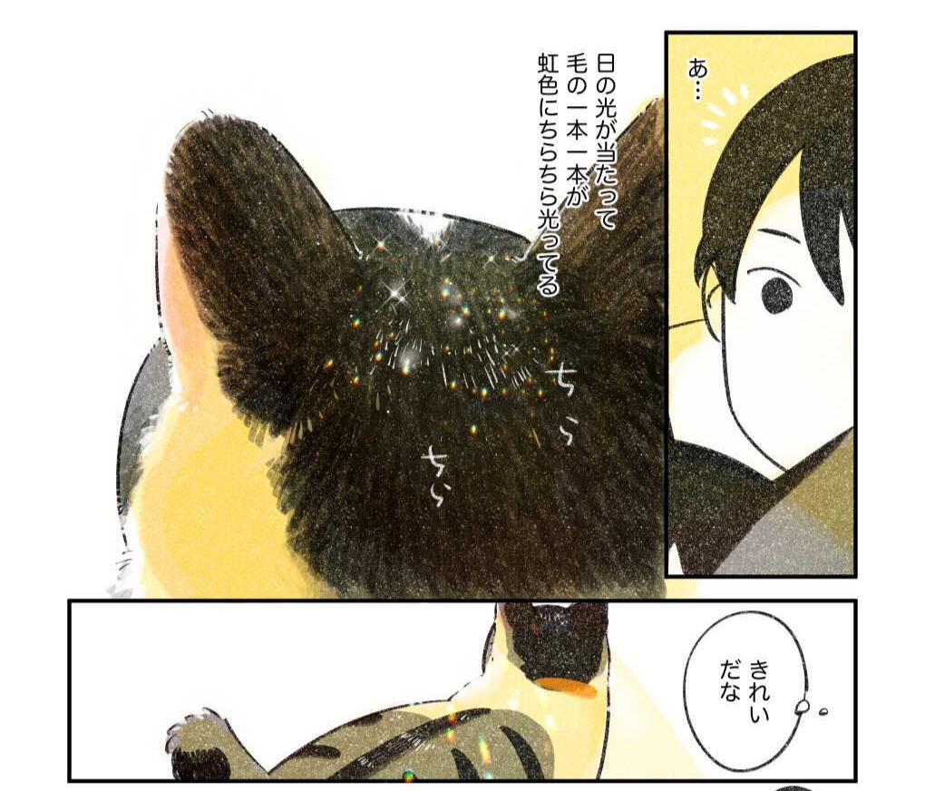 猫さんといっしょに食べる昼ごはん 日の当たった毛のきらきら感や音の描写から大切な時間が感じられる カリカリ食べる時の カリリッ Togetter 猫さんといっしょに食べる昼ごはん 日の当たった毛のきらきら感や音の描写から大切な時間が感じられる カリカリ食べる時の カリリッ Togetter