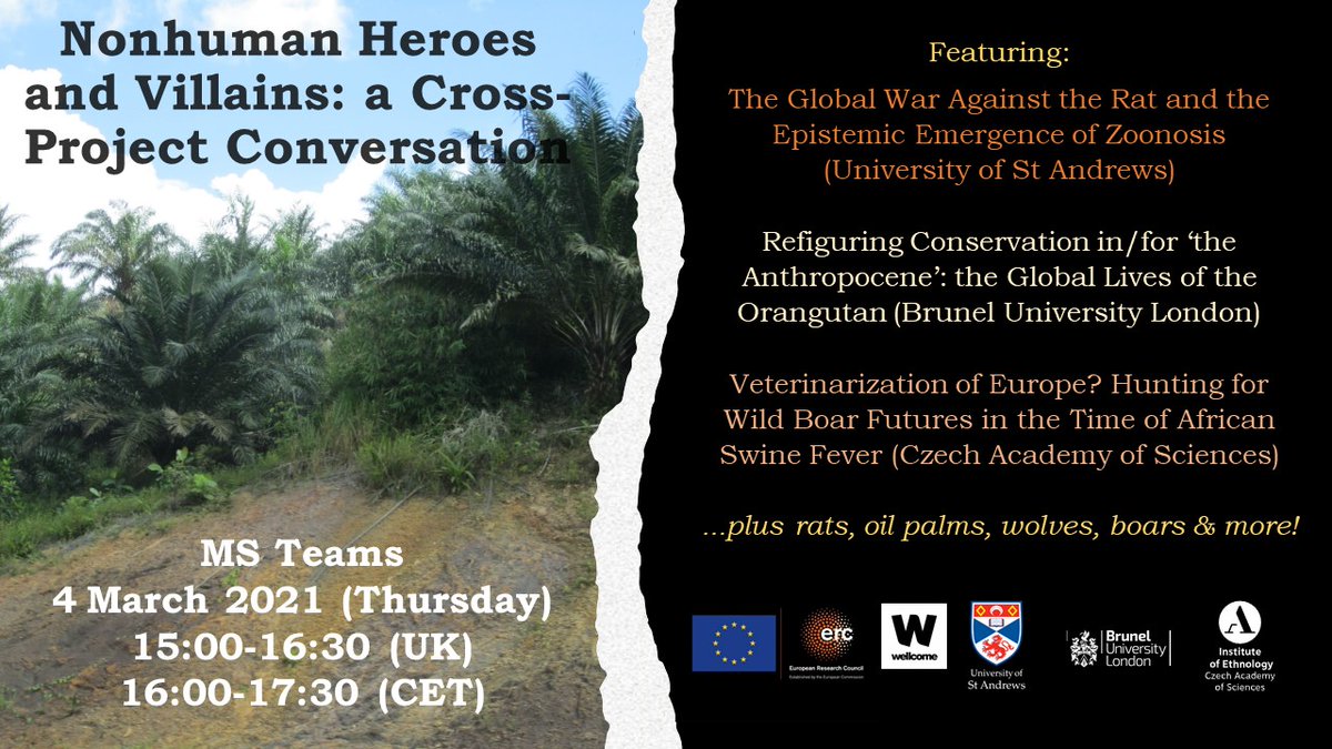 Looking forward to joining @GLO_ERC & @BOAR_ERC in 'Nonhuman Heroes and Villains' cross-project conversation webinar this afternoon! wwrat.wp.st-andrews.ac.uk/events-2/