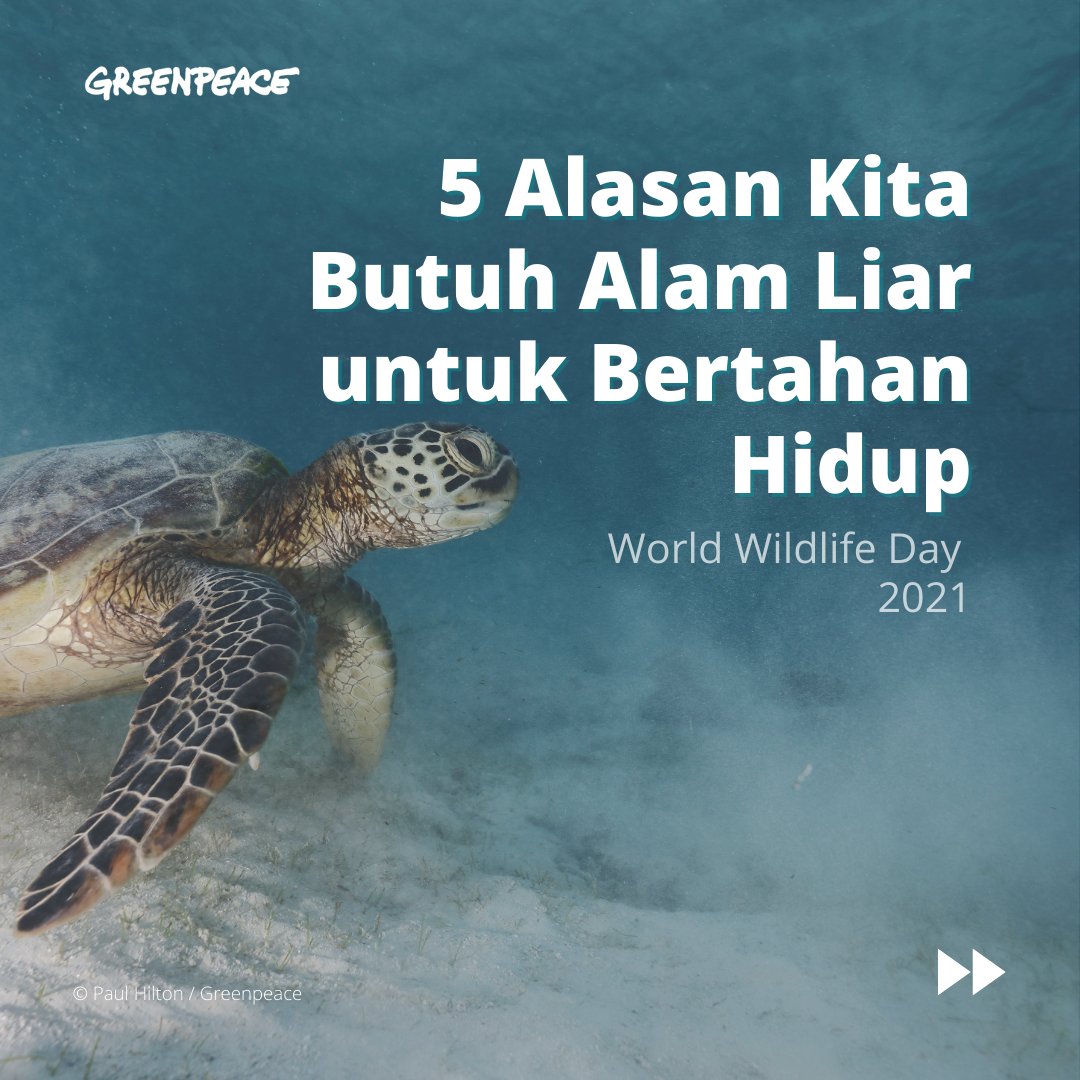 Bumi kita sedang kritis. Ia sedang diambang kehancuran. Hanya tersisa 15% dari keseluruhan hutan di bumi yang masih utuh dan hanya ada 3% bagian laut di seluruh dunia yang tidak dalam campur tangan manusia.

#WorldWildlifeDay #HariAlamLiarSedunia #BumiButuhAksi