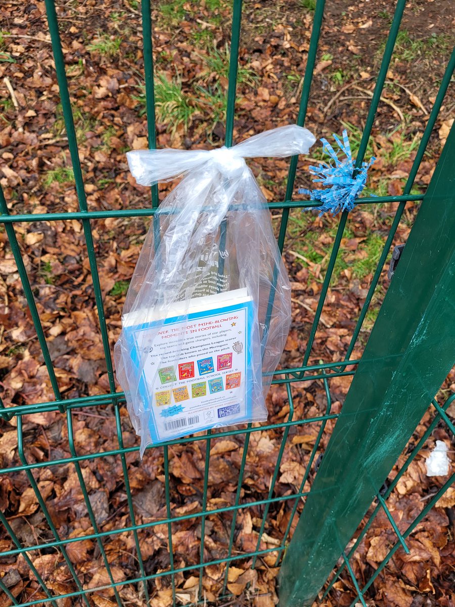 MissReillyIWBS's tweet photo. The @BookfairiesScot have visited @WhitecrossPS! I wonder who will find a book! Remember to tweet a picture of you reading your new book! #worldbookdayuk #whitecrossbookfairies #wearewhitecross #stopdropread https://t.co/Khw1xNXlMQ