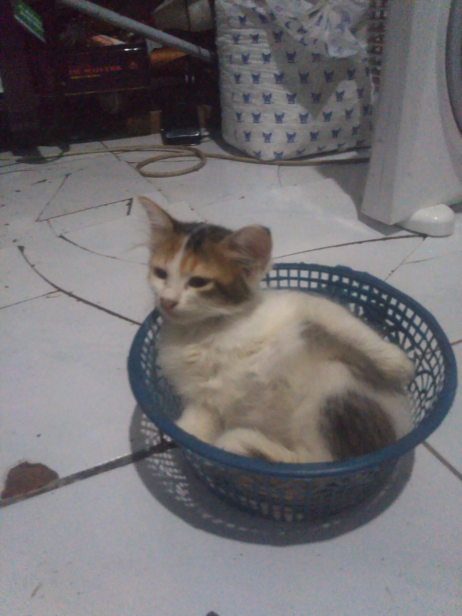 EdhoAlfredo14's tweet photo. @brontolan Nitip si juragan dirumah

Ijin share,
Rekomen film horor nih
Buat yg suka film
https://t.co/pS9Syd7QVG https://t.co/6y6ULBj8xT