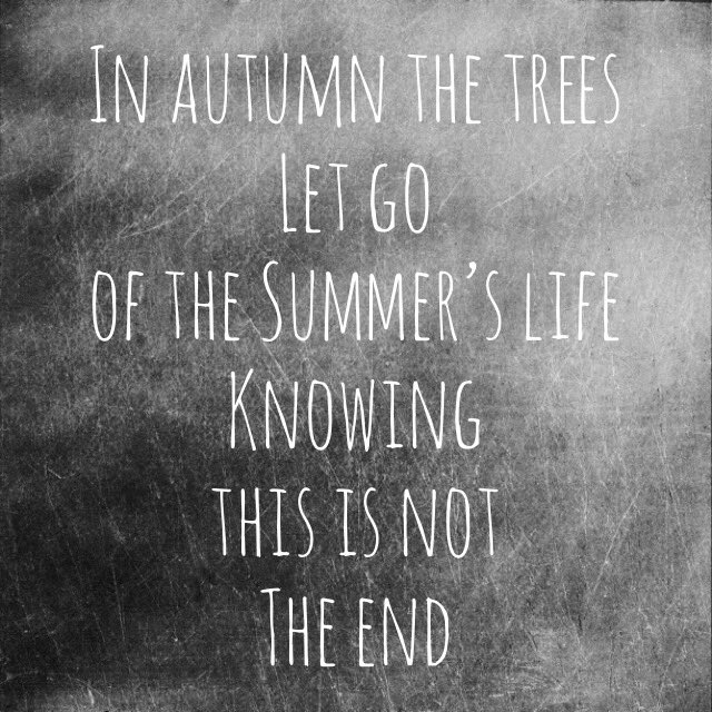 I Autumn the trees...let go...of the Summer’s life...knowing...this is not...the End #christianpoetry #christianity #spiritualpoetry #pwpoetry #micropoetry #sacred_tones #poetry #poetrycommunity #poetsofficial #poetsofig #poetsofinstagram #globalpoetcult