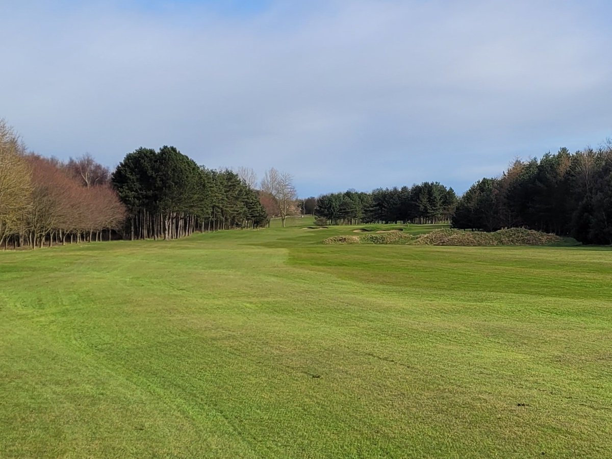bashs_tweets's tweet photo. The...Definition...Starts...NOW!!
⛳🌱🚜 💪
#Greenkeeping #LoveTurf #Definition #Fairways https://t.co/aB686Lls3i