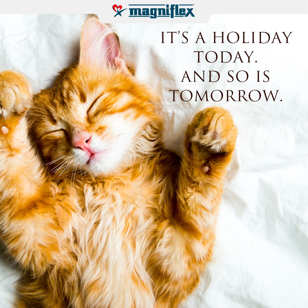 Vencasa_za's tweet photo. Everyday feels like a holiday on a @MagniflexWorld mattress. 

Experience life's greatest pleasure - get yourself a mattress from Magniflex. Available at all Vencasa &amp; Tempur showrooms nationwide. 

Vencasa is home to Tempur, Magniflex &amp; Malouf - The world leaders in sleep https://t.co/d6E631Cxa4