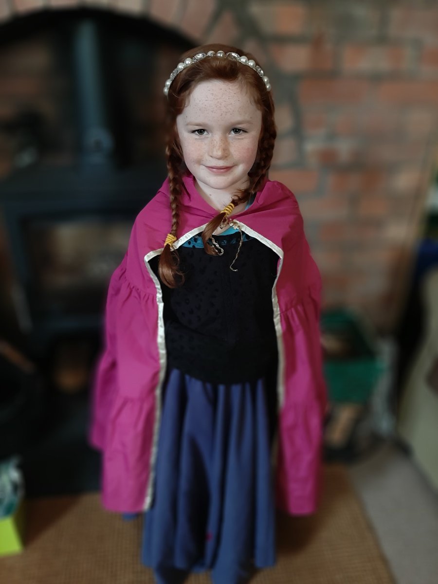 HannahEDarby's tweet photo. We have lionblaze from 'Warrior Cats', a pterodactyl from 'See inside the World of Dinosaurs' and Anna from 'Frozen' in our house today!! Happy World Book Day! 🥳 @monksabbey @year1MAPS @Year2MonksAbbey @Year5MAPS https://t.co/5G7bewNP2c