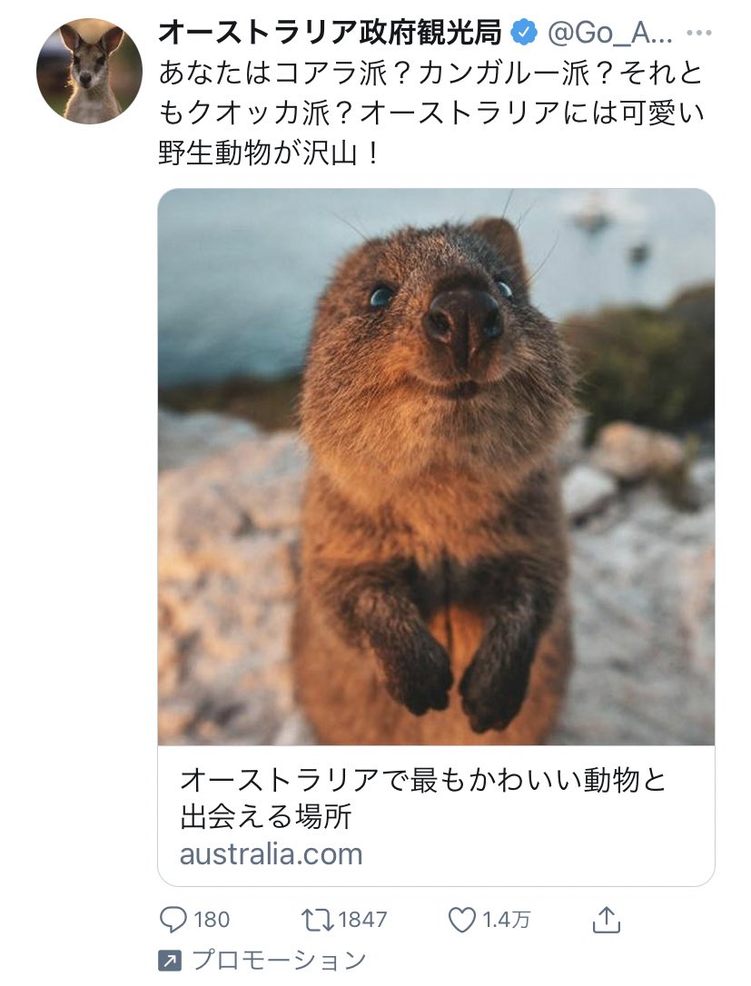オーストラリア政府観光局 Twitter Search Twitter