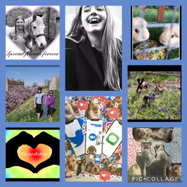 MountSchoolYork's tweet photo. Before half term, our #PhotographyCompetition winners were announced. The theme was 'Friendship'. Congratulations to all the entrants, the quality of entries was breathtaking! Beatrice (Y9) won first prize and Milly (Y7) was awarded second place. #WeKnowGirlsCan #OnlineCreativity https://t.co/WHXYYccInB