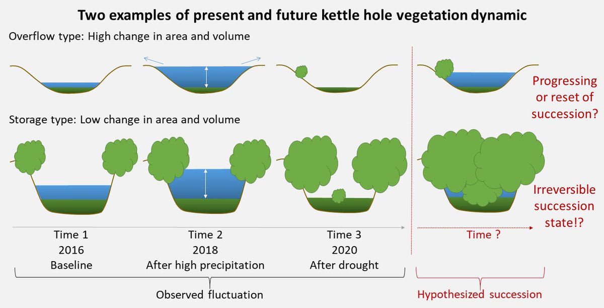 MarlenePatzig's tweet photo. I am proud of my recently published article "Dynamic of Dominant Plant Communities in #Kettleholes (Northeast Germany) during a Five-Year Period of Extreme Weather Conditions", thx to Eveline for your great support, #mdpiwater via @Water_MDPI, @zalf_leibniz, #SWBTrans https://t.co/s64ZlZ6IlL