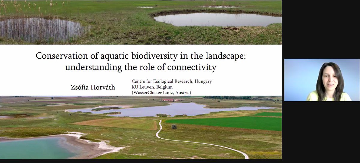 Shallow Lakes tweet media