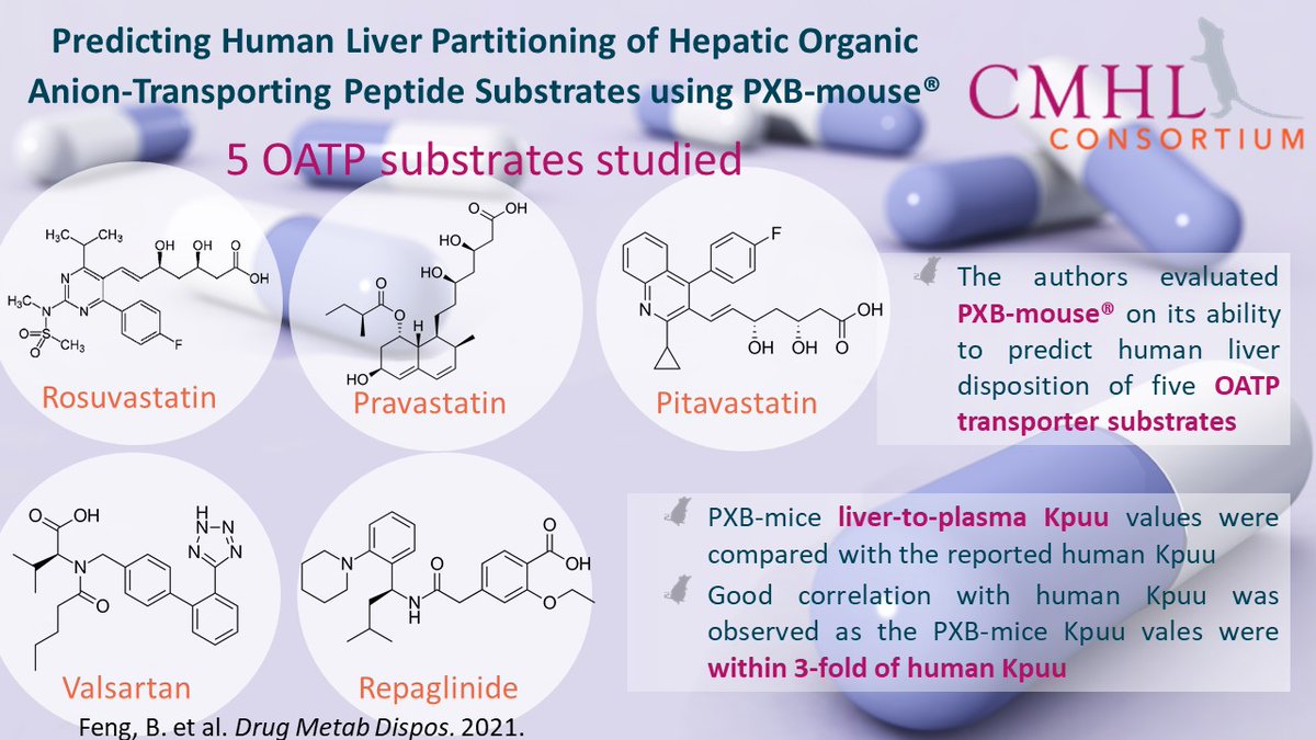Two studies performed with the support of PhoenixBio’s Chimeric Mouse with Humanized Liver (CMHL) consortium from Vertex Pharmaceuticals and Takeda Pharmaceuticals are highlighted here. phoenixbio.co.jp/en/news/chimer… #drugdiscovery #drugdevelopment