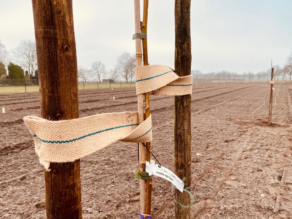 #Agroforestry in Brabant; al 70 boeren concreet aan de slag. Vooral die met een bedrijfsplan. Er kunnen weer 10 nieuwe opgesteld worden! Een bedrijfsplan helpt bij concretiseren van plannen om bedrijfsvoering te verduurzamen. Opgave tot 1 april. 06-15108084