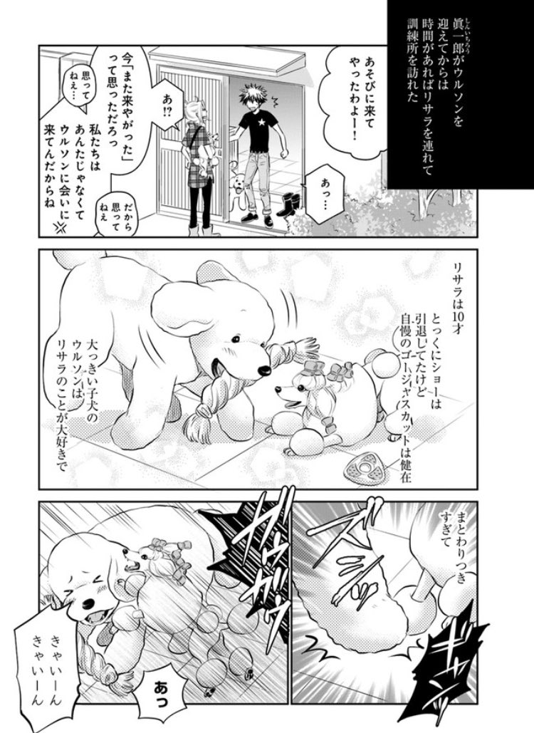 DOG SIGNAL 24話①のこのシーン、うちの犬たちがやってたことを描いてます??
https://t.co/M4PsXertvQ 