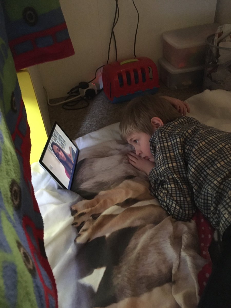 chris_boyt's tweet photo. @FairandColneis James in his den listening to Esio Trot for World Book Day https://t.co/OUbdHFYEFU