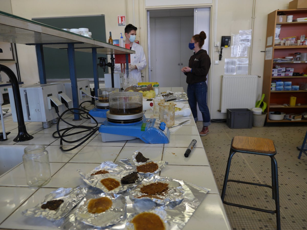 Fun teaching of the week: how to make leather out of apples and bananas and many other fruits with my 1st year students🍏🍌🍎 <a href="/psl_univ/">Université PSL</a> <a href="/Chimie__ENS/">Chimie ENS</a> <a href="/ENS_ULM/">École normale supérieure | PSL</a>