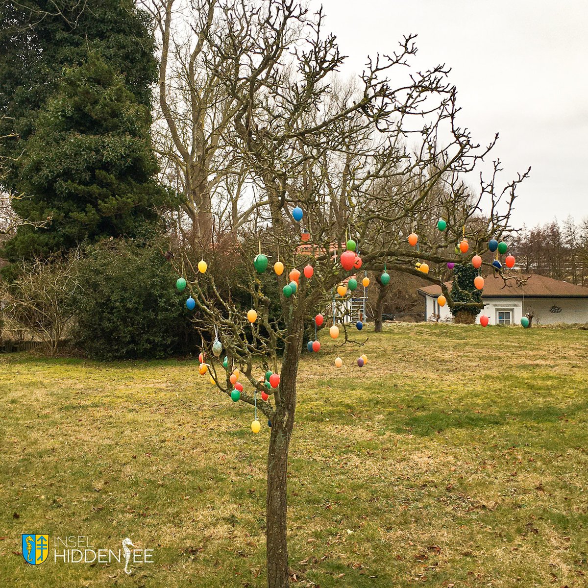 Einen guten Start in den letzten 
Arbeitstag der Woche wünschen wir euch. 

Die Vorboten des kommenden Osterfestes zeigen sich 
so langsam auch bei uns. 

#hiddensee #inselhiddensee #frühling #ostern #ostsee 
#mvtutgut