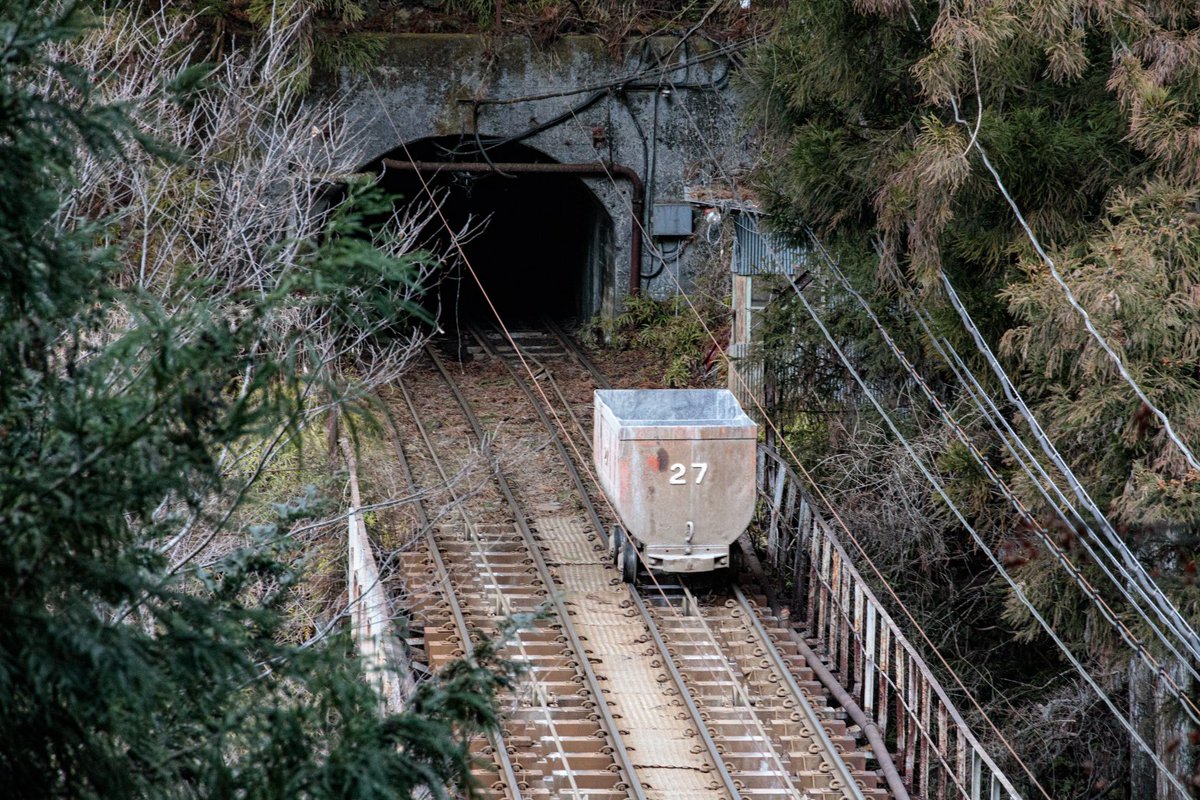 さざなみあやめ 奥多摩工業氷川工場のトロッコ Eos R Rf24 240mm F4 6 3 Is Usm Eosr
