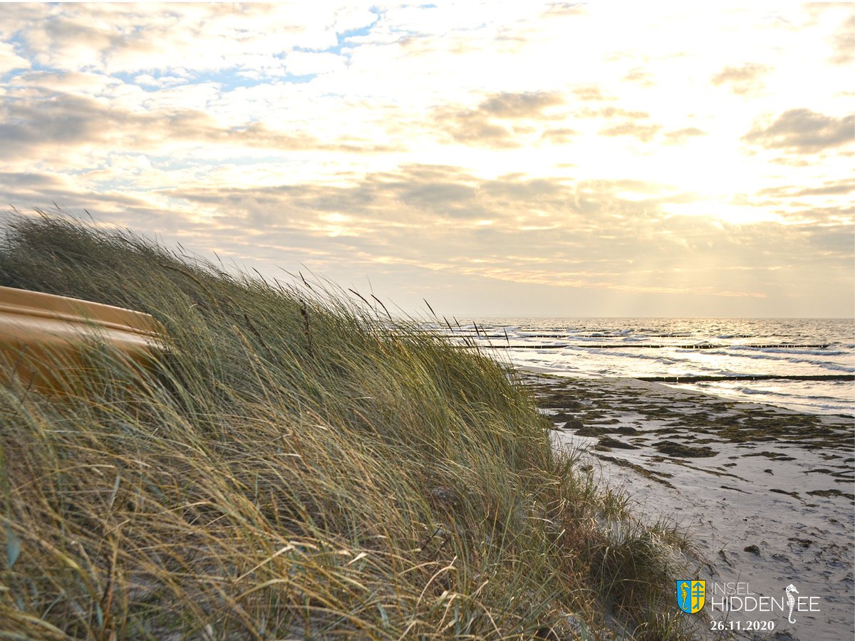 Einen schönen Sonntag von der 
Sonneninsel Hiddensee. ☀️

#hiddensee #seebadinselhiddensee #ostsee #mvtutgut