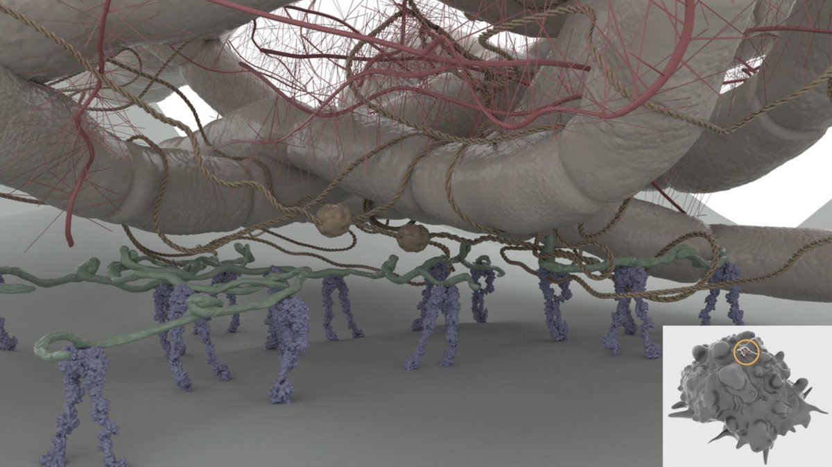 Rowan Hughes tweet media