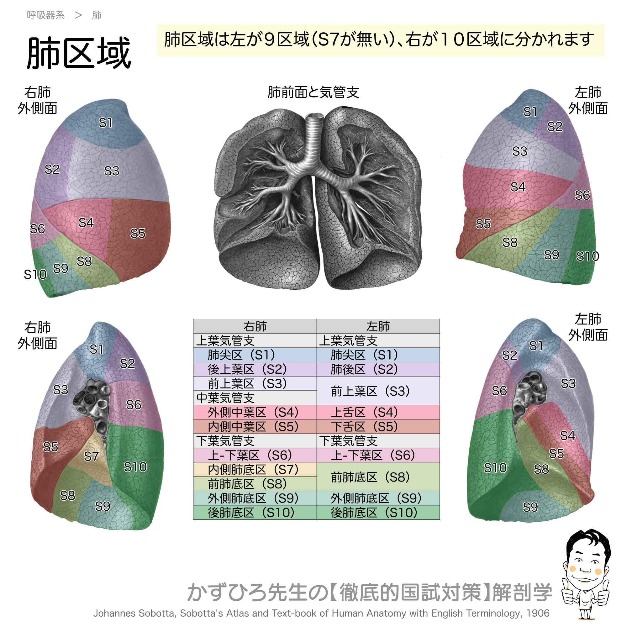 黒澤一弘（かずひろ）解剖学IT教育・指圧師・ラダック on X
