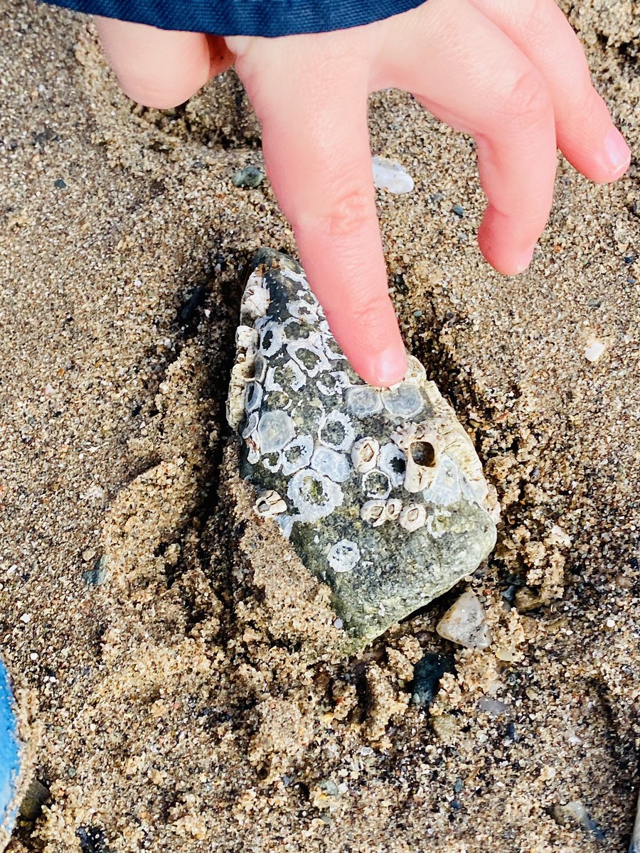 Wee Stems tweet media