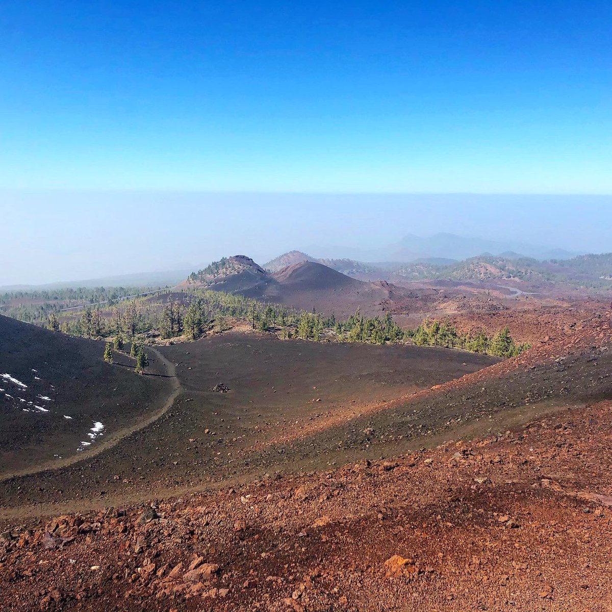 Wilderness is a necessity and Tenerife turns out to be absolute paradise⛰✨🤗

•
•
#Tenerife #Teide #CanaryIslands