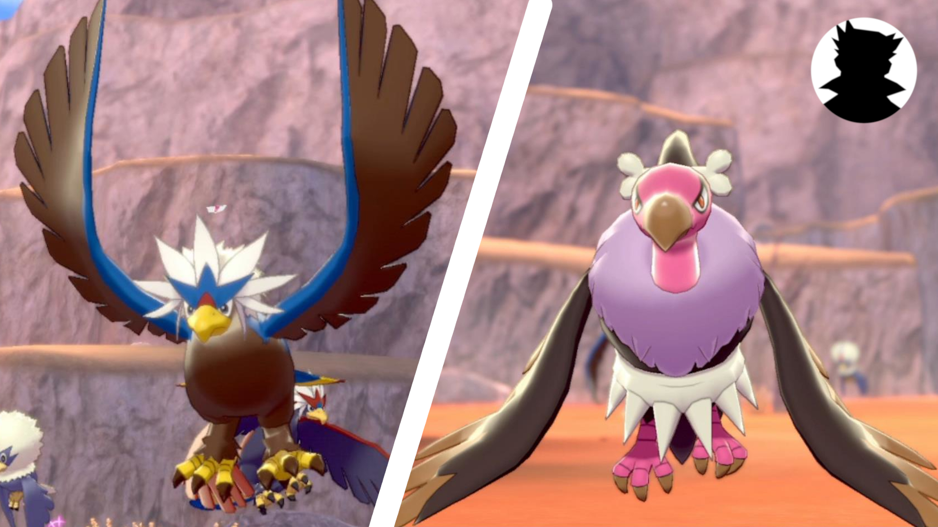 オオキド研究所 ポケモンリサーチ ワシボン ウォーグル バルチャイ バルジーナ T Co Gxgu6idipl ポケモン剣盾 ポケモンと生活 T Co Zx60asokgy Twitter